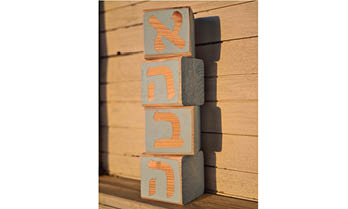 ערכת DIY קוביות מדברות עד הבית
