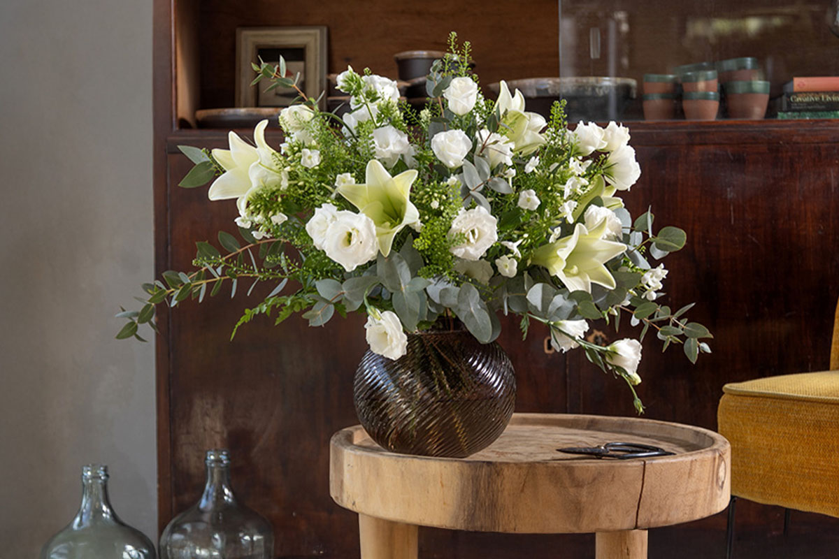 הזר של לילי