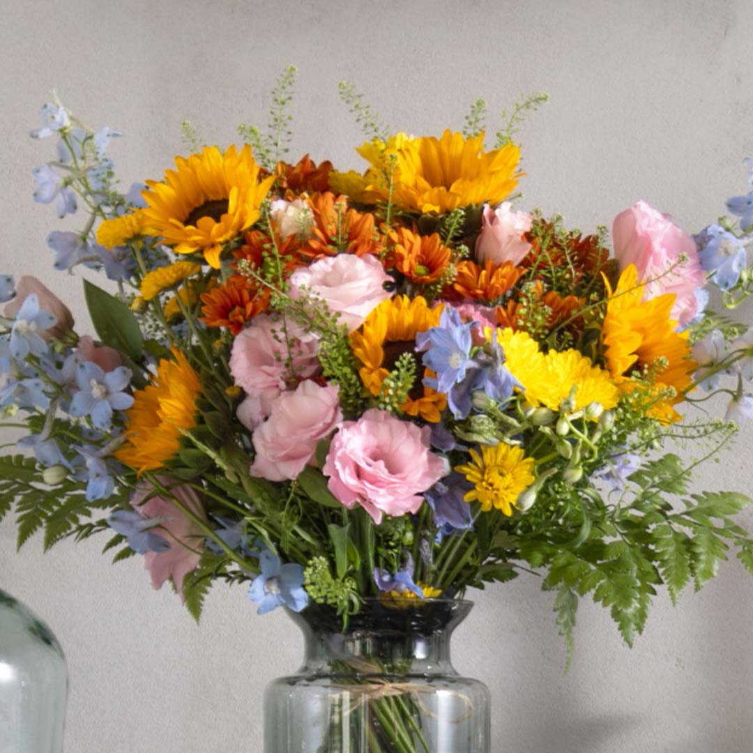 הזר של מאיה ורטהיימר