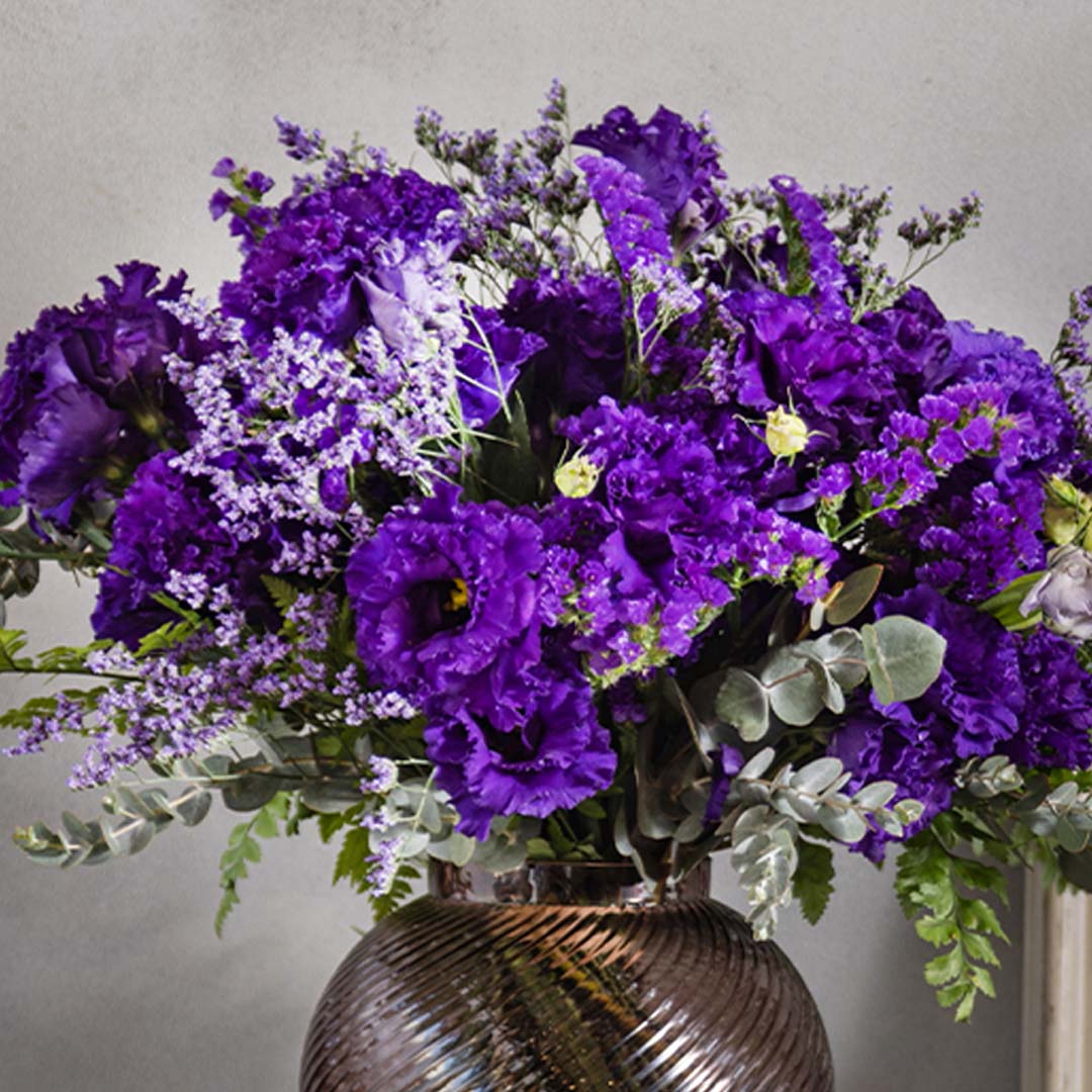 הזר של יסמין 