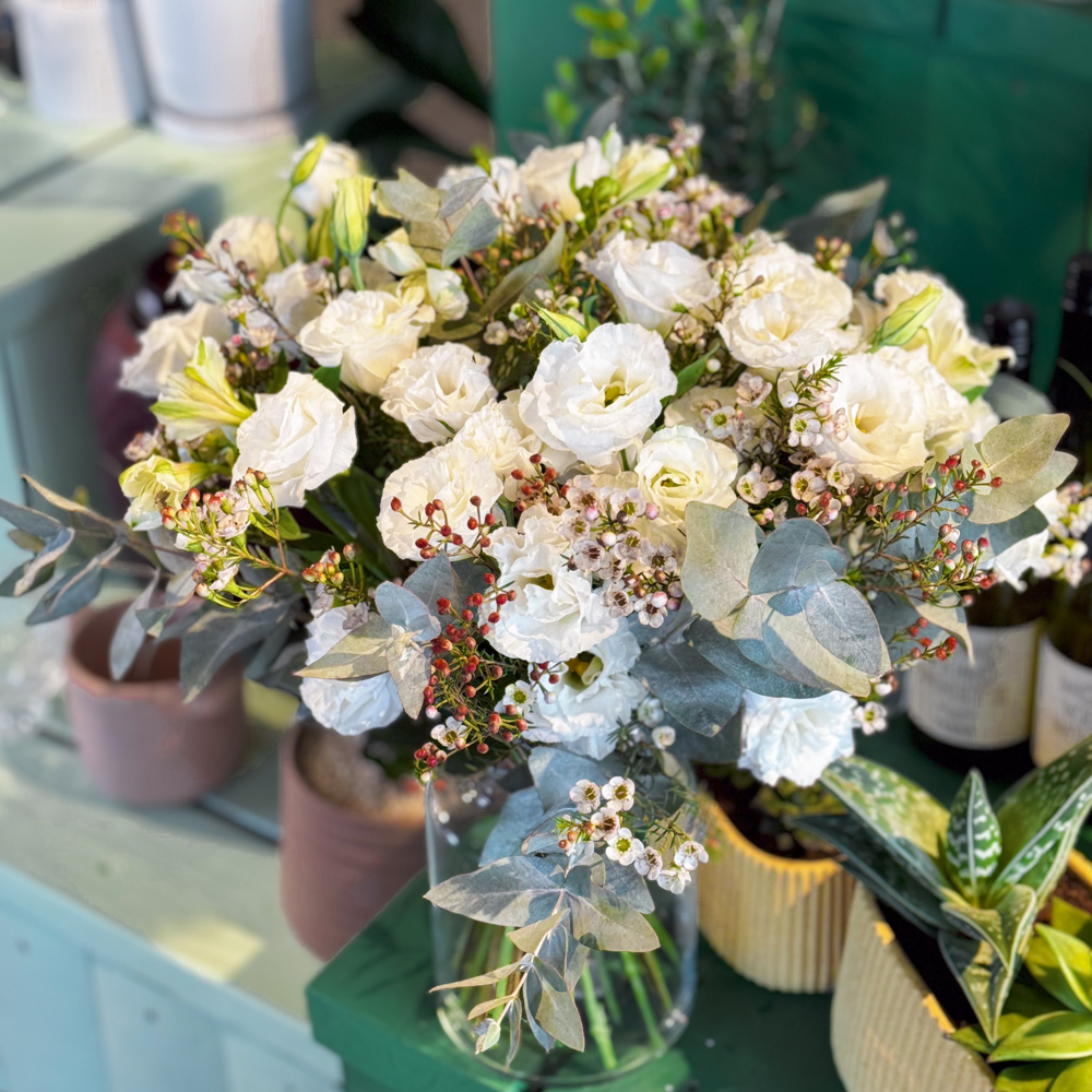 הזר של קים אור