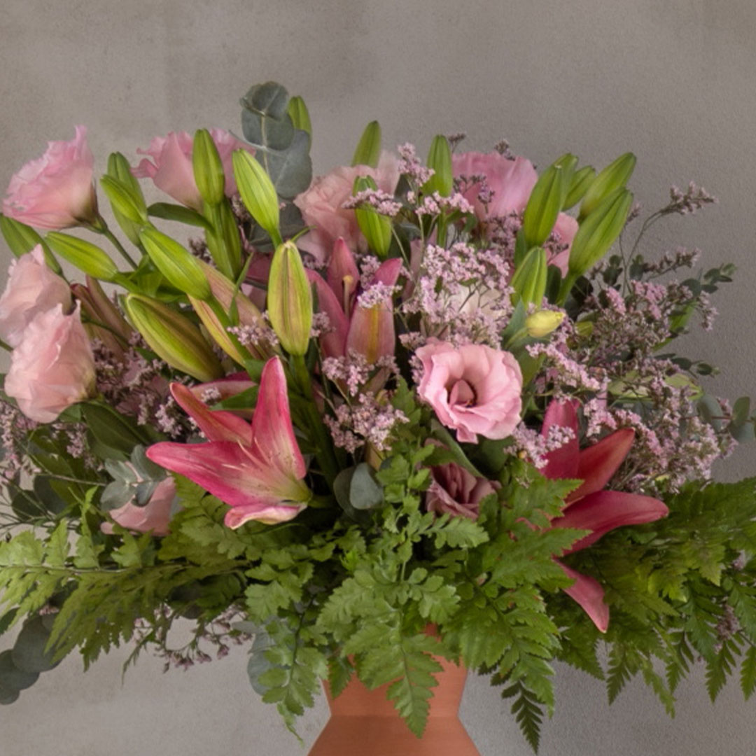 הזר של שחר ונועם