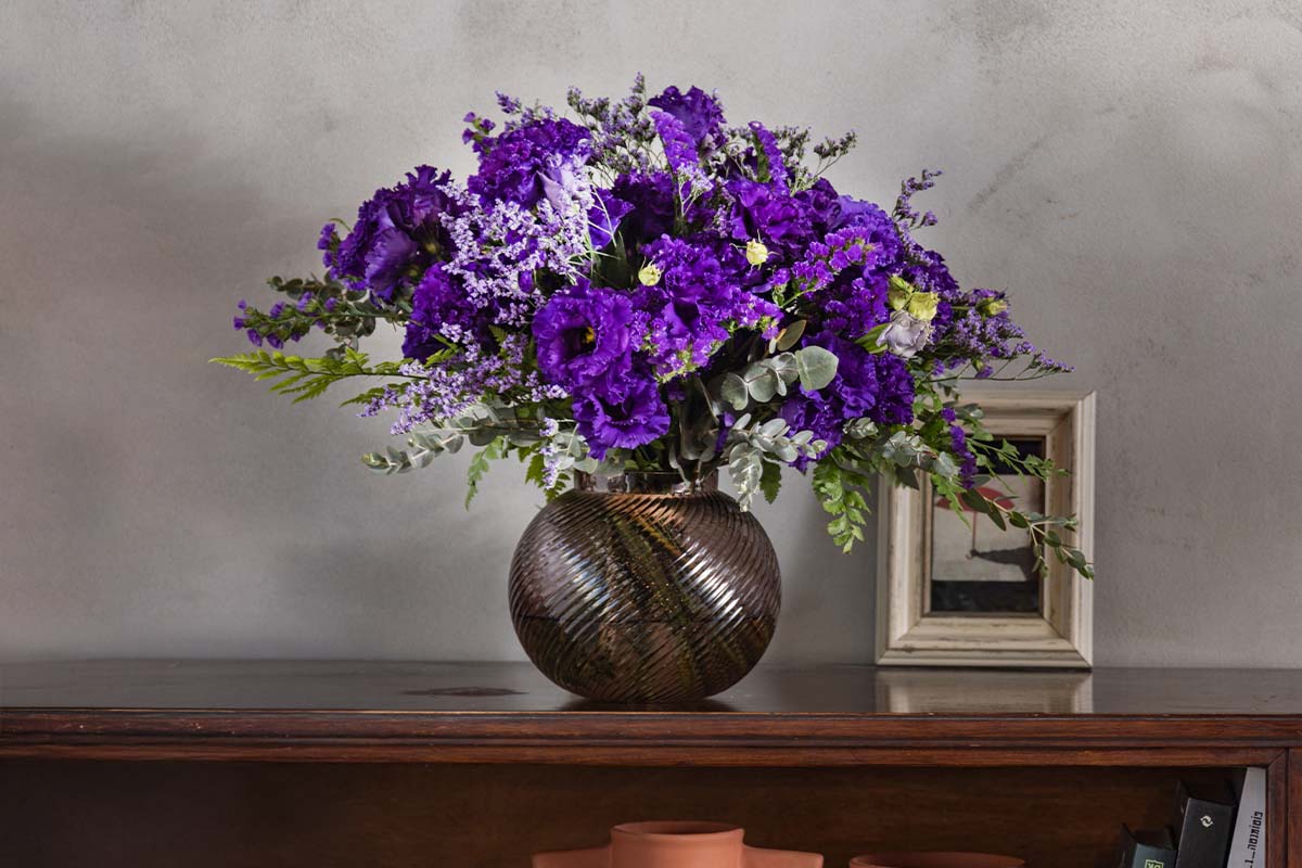 הזר של יסמין 