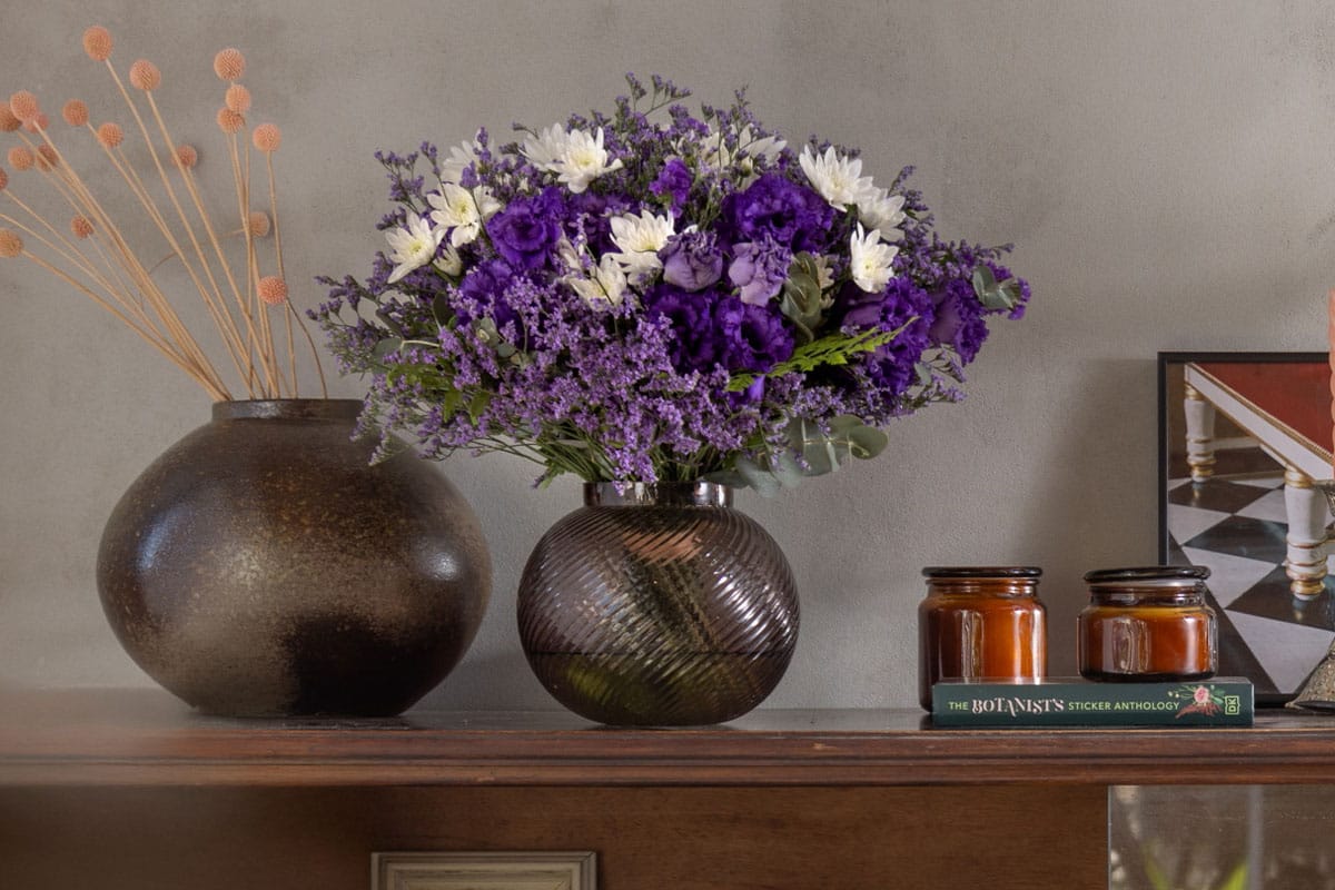 הזר של רונה